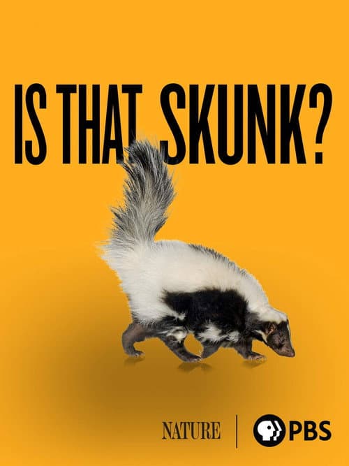Is That Skunk? poster