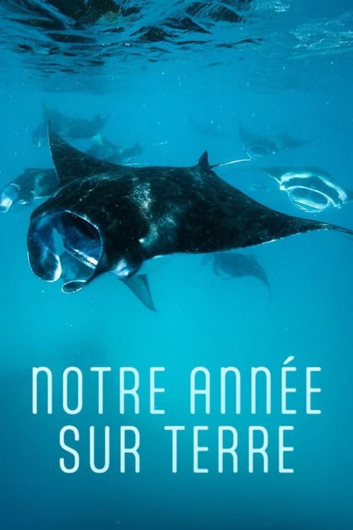 Notre année sur Terre poster