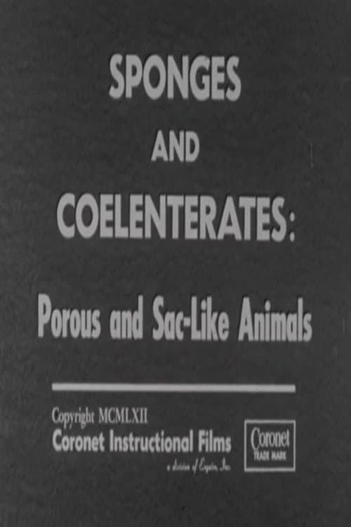 Sponges and Coelenterates: Porous and Sac-Like Animals poster