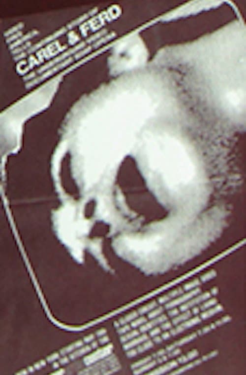The Continuing Story of Carel and Ferd poster