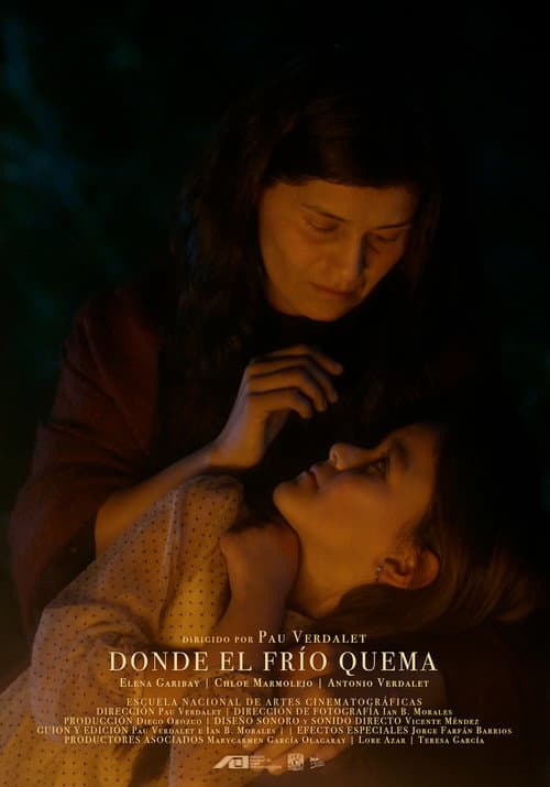 Where Burning Cold Lies poster