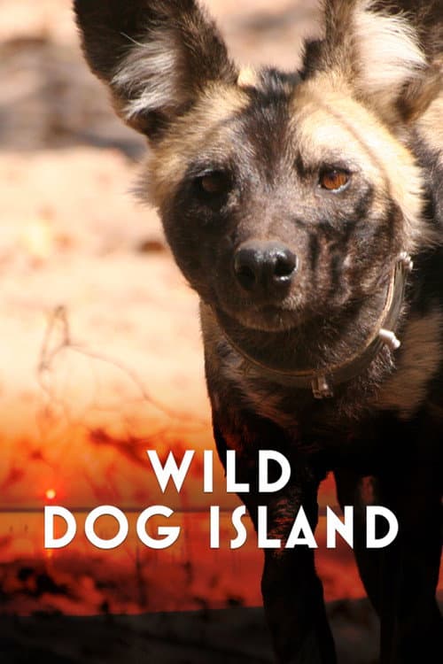 Wild Dog Island poster