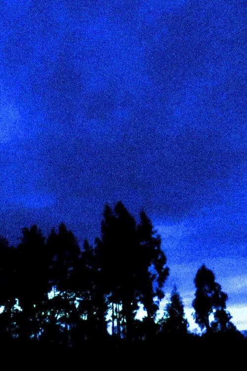 Looking South poster
