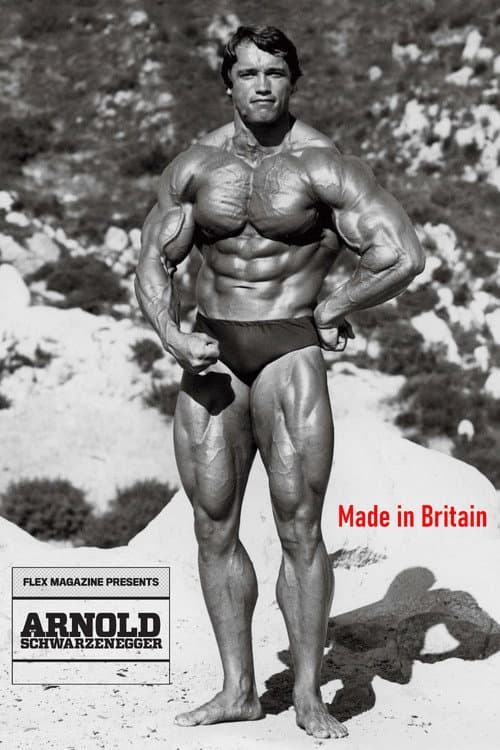 Arnold: Made in Britain poster