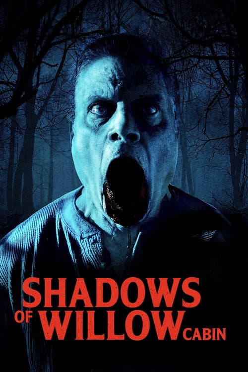 Shadows of Willow Cabin poster