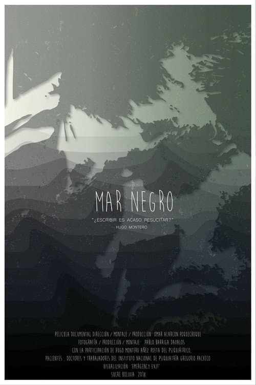 Black Sea poster