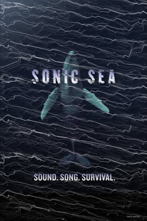 Sonic Sea poster