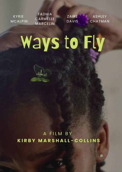 Ways to Fly poster