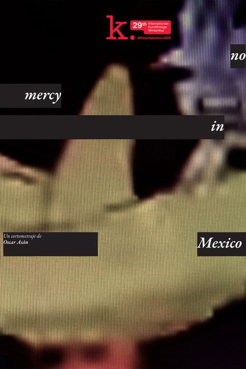 no_mercy_in_mexico poster