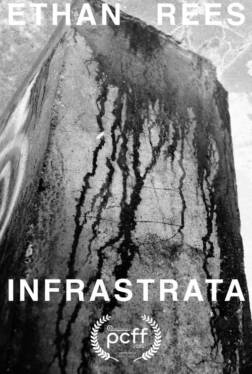 INFRASTRATA poster