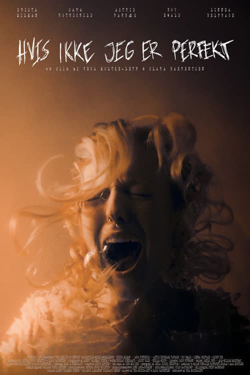 Without Perfection poster