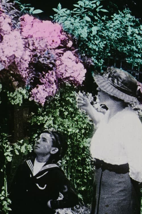 Flowers in the Garden poster