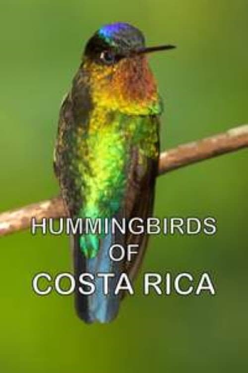 Hummingbirds of Costa Rica poster