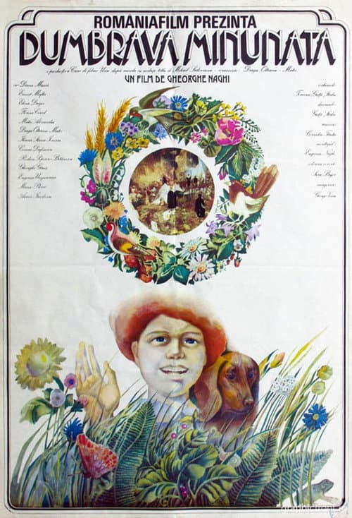 The Enchanted Grove poster