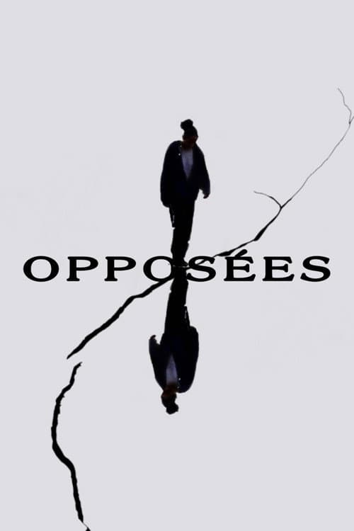 Opposites poster
