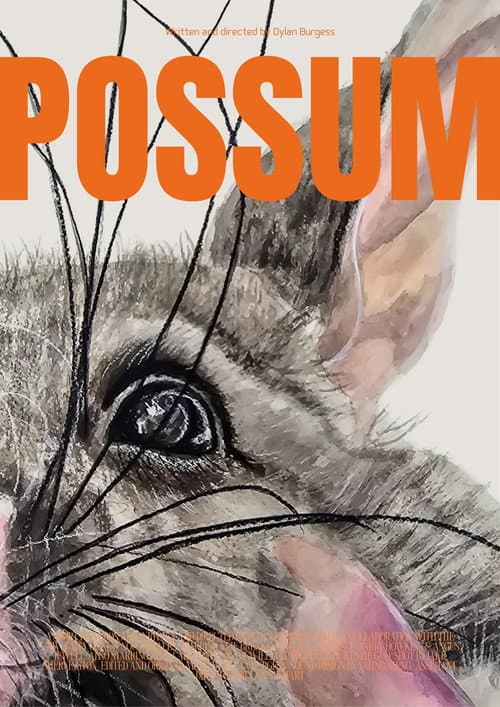 Possum poster