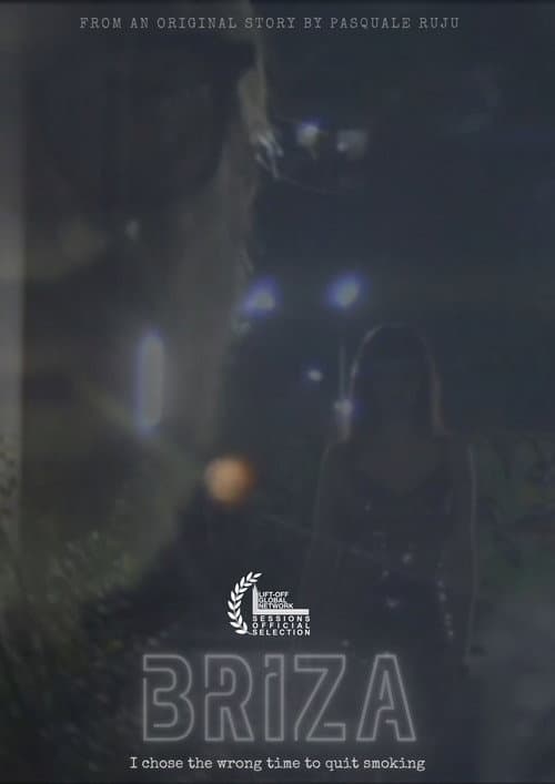 Briza poster