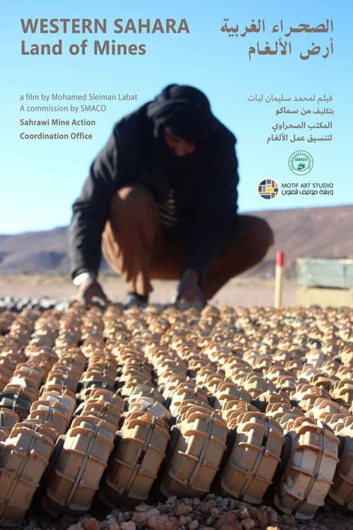 Land of mines poster