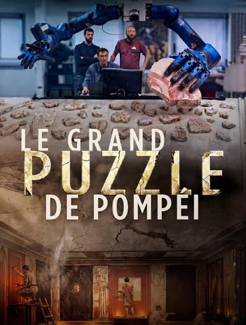 Le grand puzzle de Pompéi poster