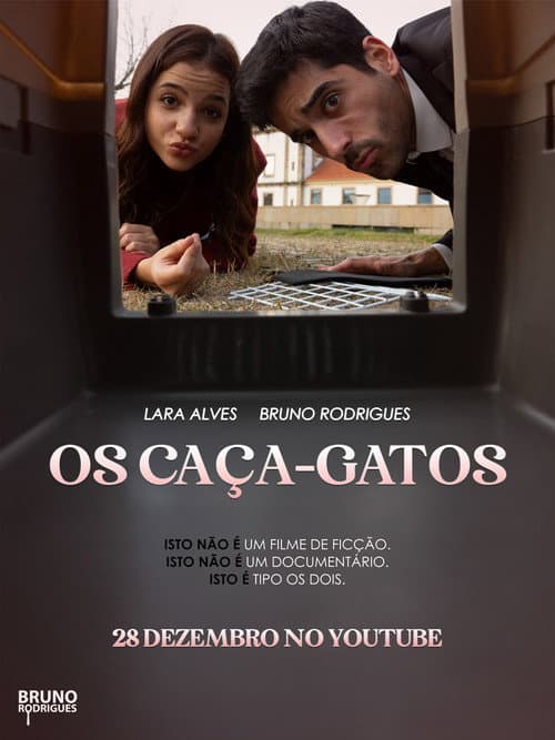 Os Caça-Gatos poster