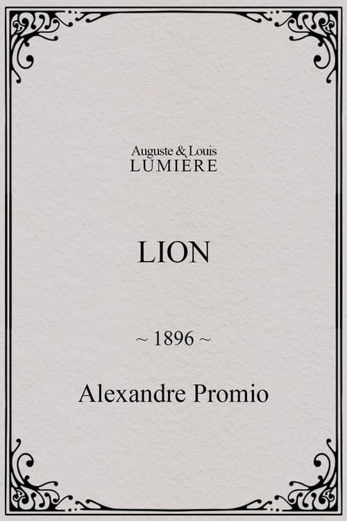 Lion poster