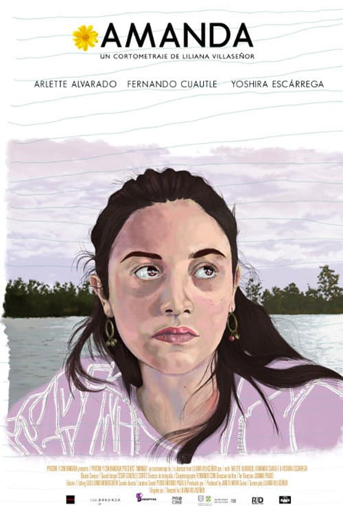 Amanda poster