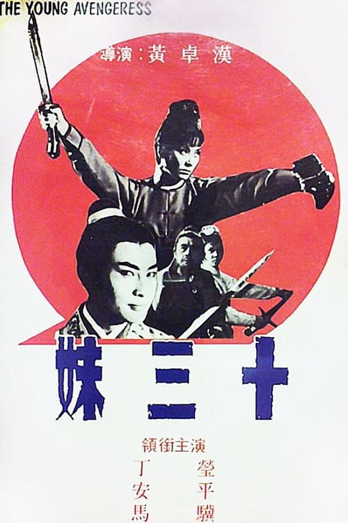 The Young Avengeress poster