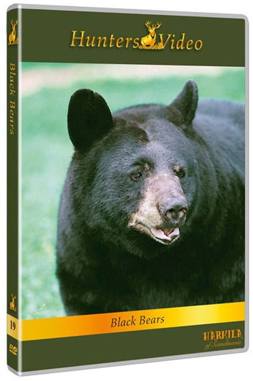 Black Bears poster