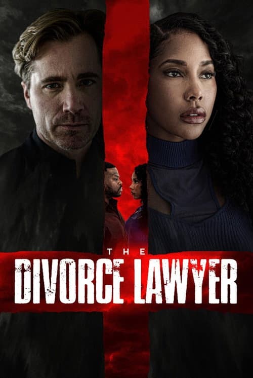The Divorce Lawyer poster