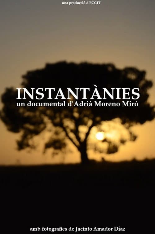 Instantànies poster