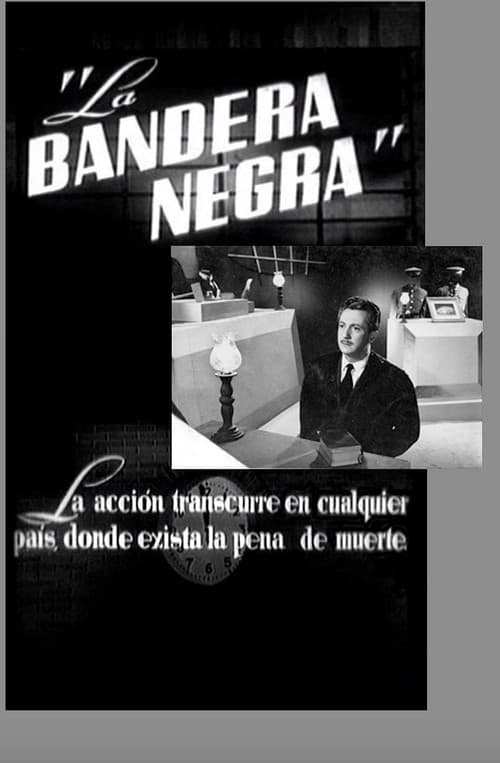 The Black Flag poster