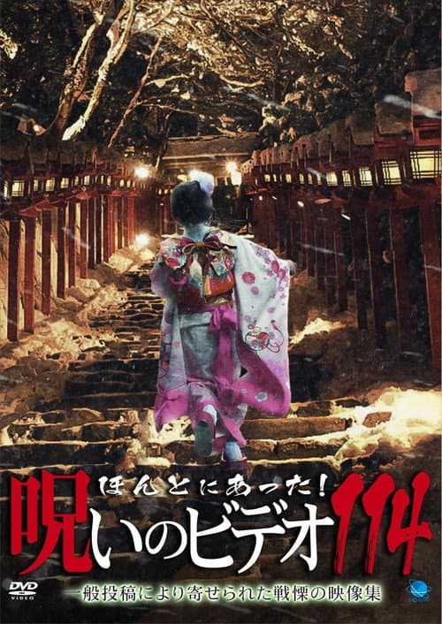 Honto ni Atta! Noroi no Video 114 poster