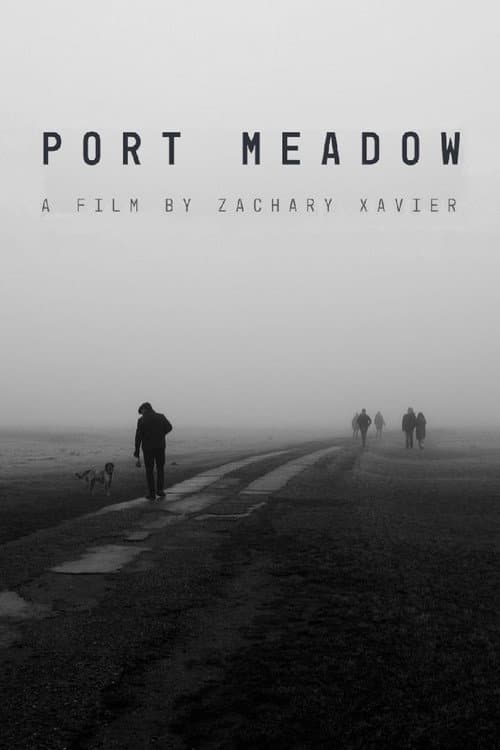 Port Meadow poster