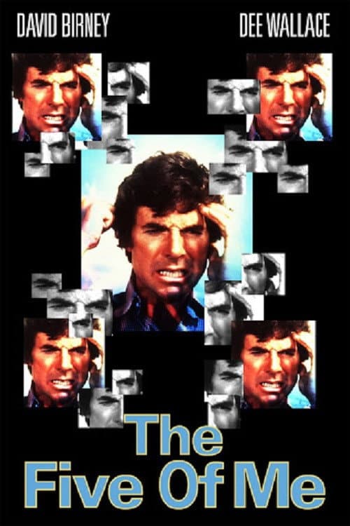 The Five of Me poster