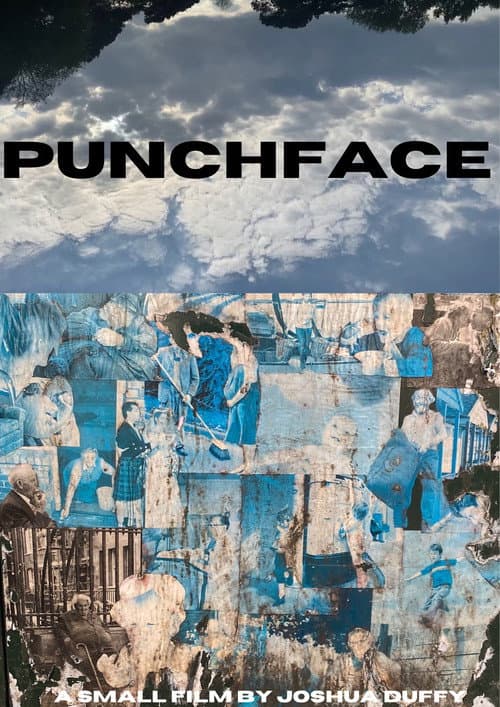 PUNCHFACE poster