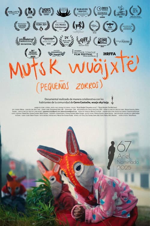 Little Foxes poster