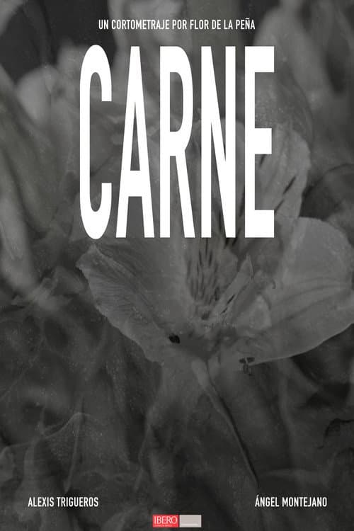 CARNE poster