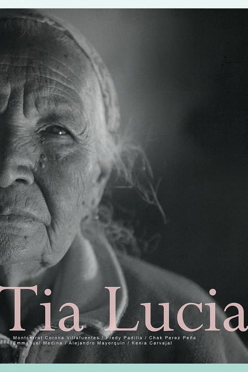Aunt Lucía poster