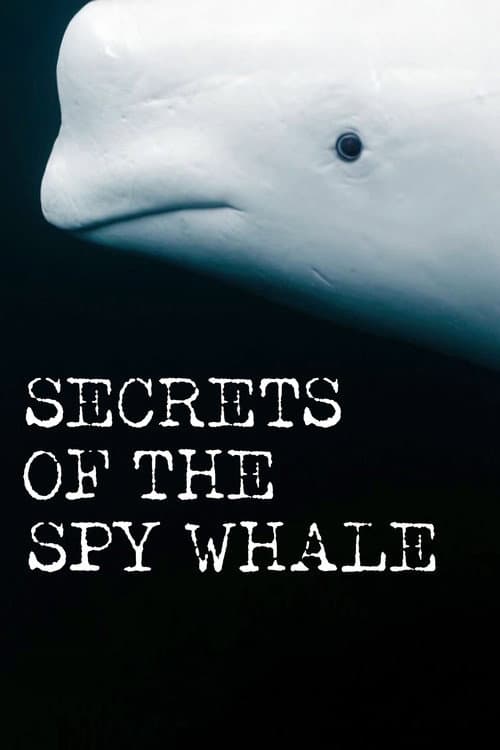 Secrets of the Spy Whale poster