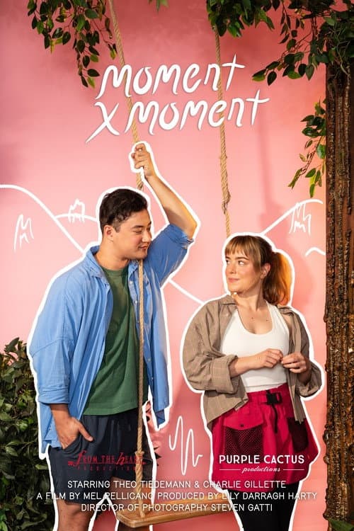 Moment by Moment poster