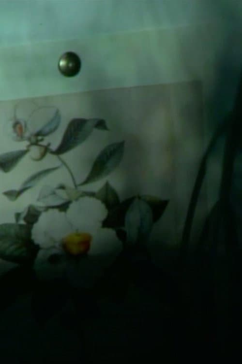 out of touch (franklinia still life) poster
