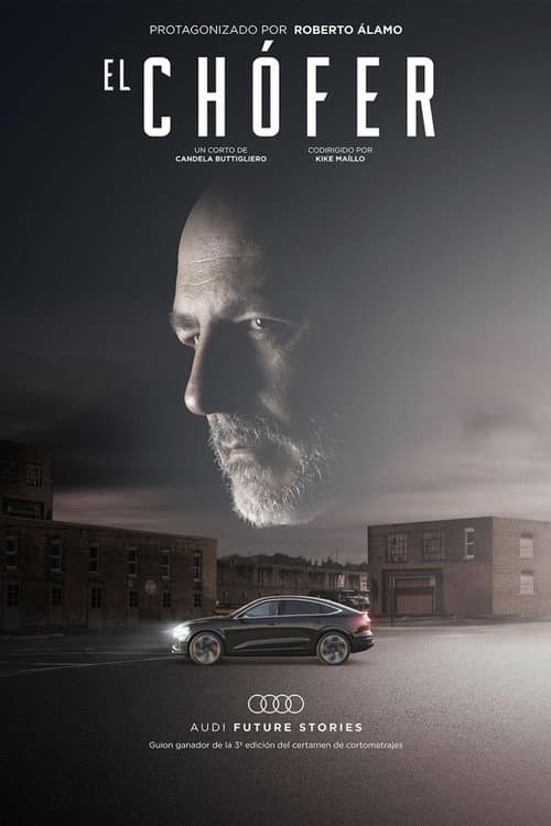 The Driver poster