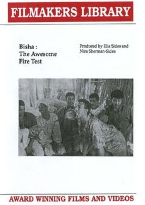 Bisha: The Awesome Fire Test poster