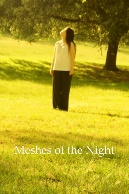 Meshes Of The Night poster