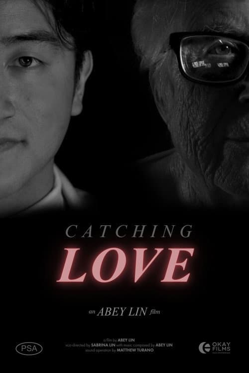 Catching Love poster