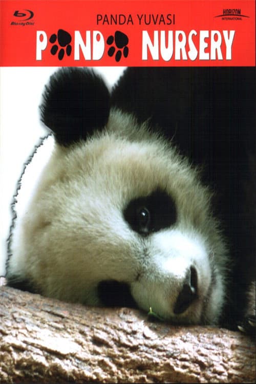 Panda Nursery poster