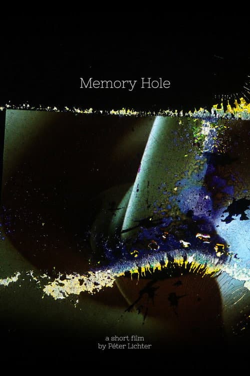 Memory Hole poster