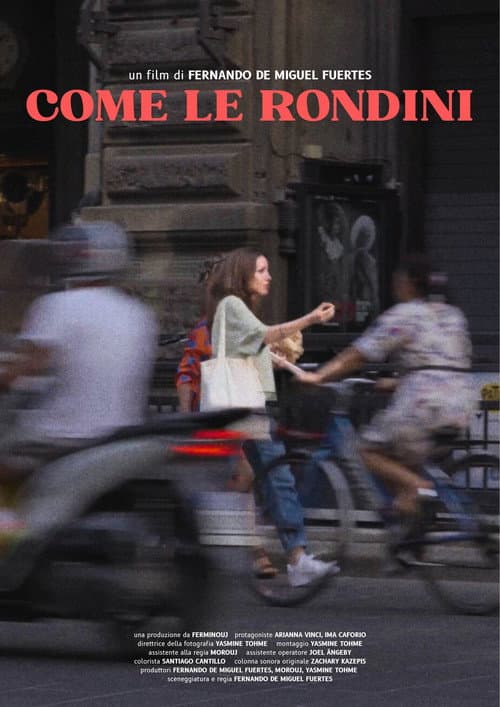 Like Swallows Do poster