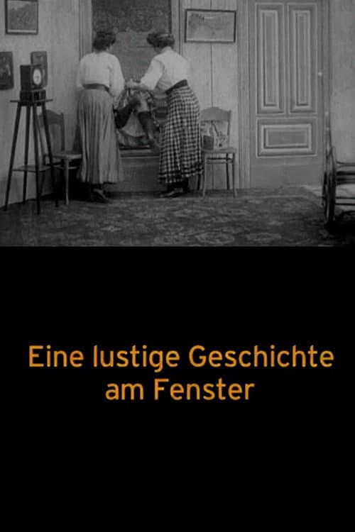 A Funny Story at the Window poster
