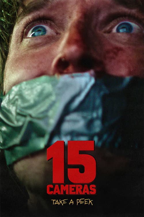 15 Cameras poster